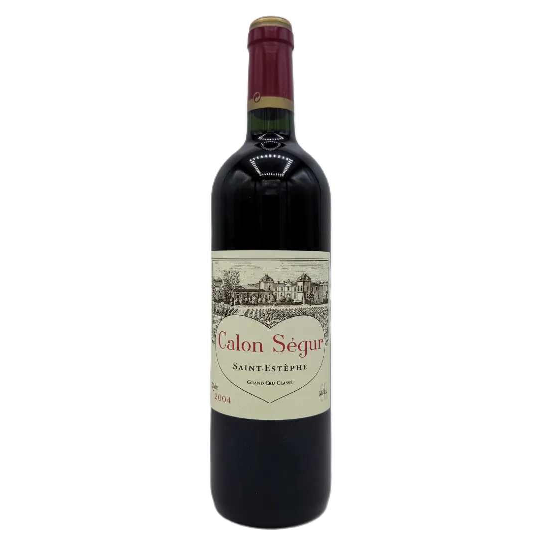 Calon Segur 2004